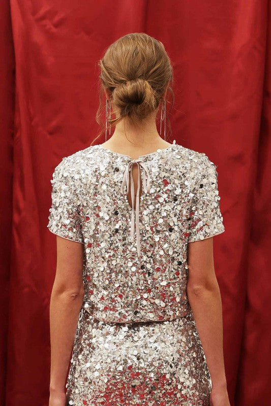 Silver Sequin Crop Top