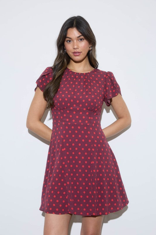 Burgundy Polkadot Mini Dress